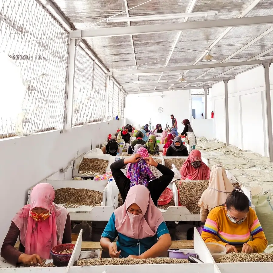 Kawa Specialty Indonesia Mena Gold - Image 4