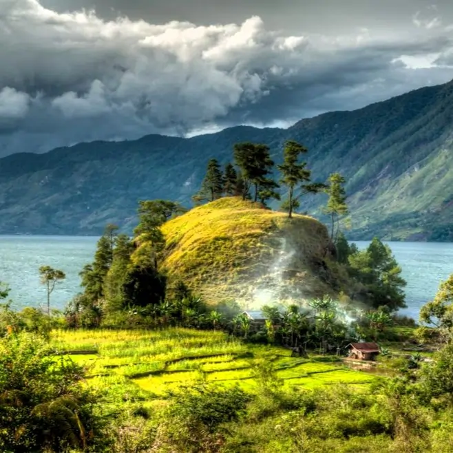 Kawa Specialty Indonesia Mena Gold - Image 6
