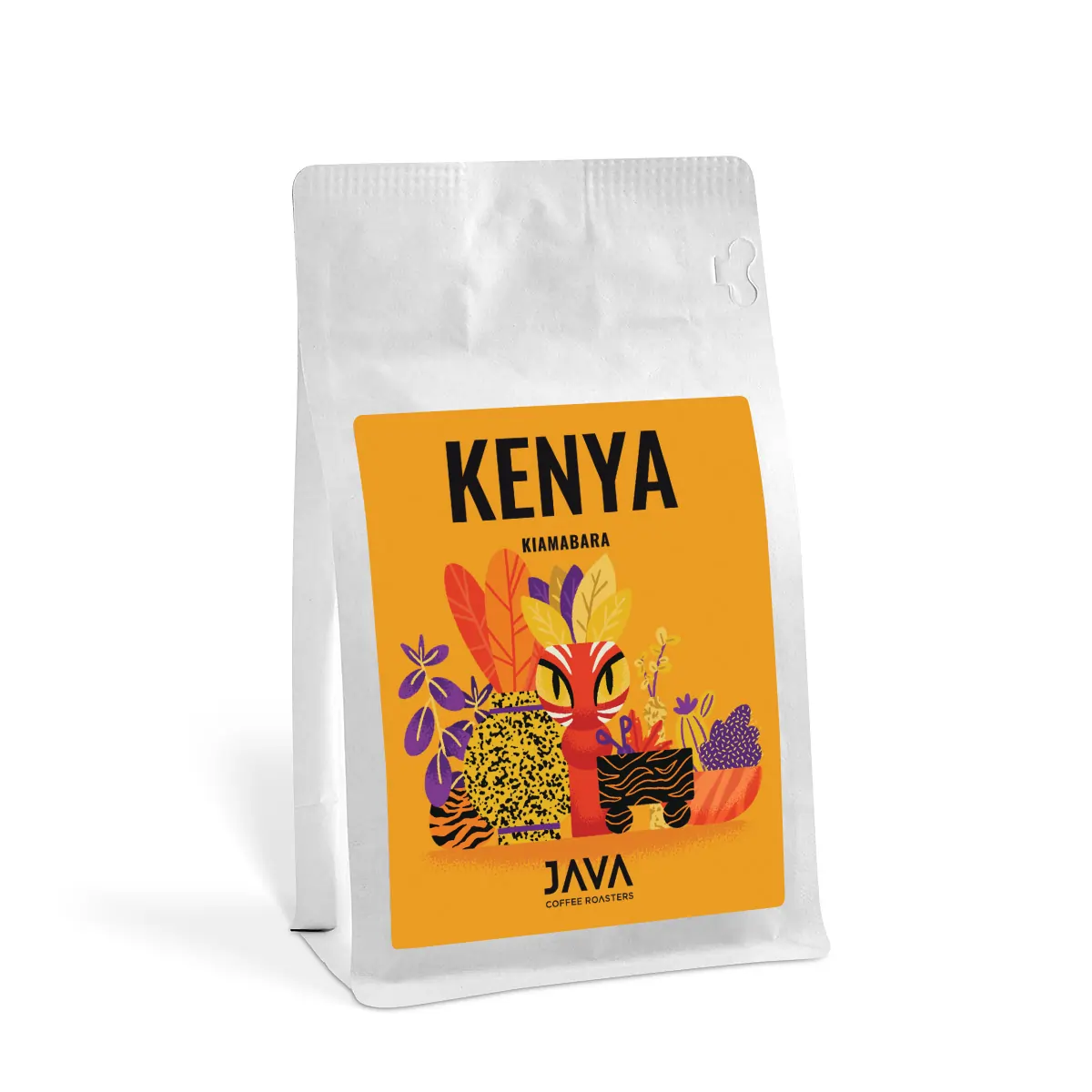 Kawa do Cold Brew