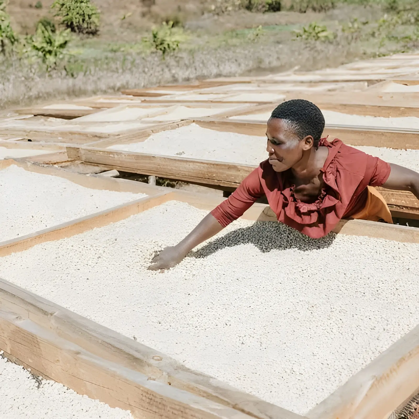 Kawa Specialty Tanzania Malolo - Image 10