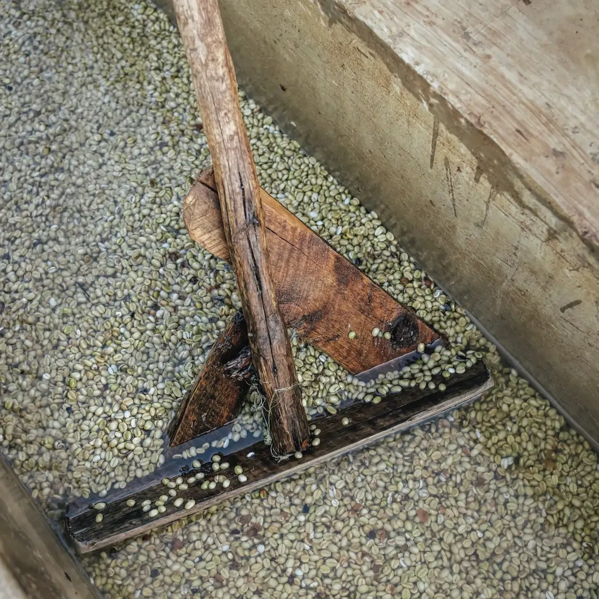 Kawa Specialty Tanzania Malolo - Image 4