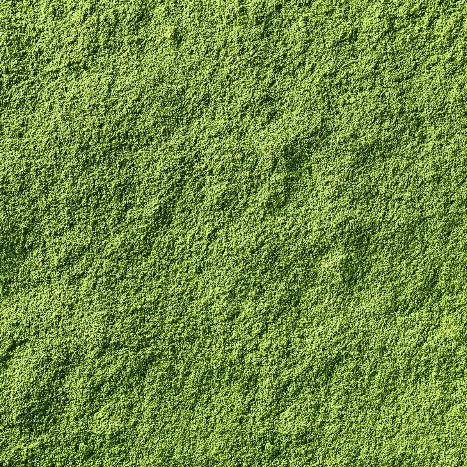 Yokiro Matcha Ceremonialna 02 - Image 8